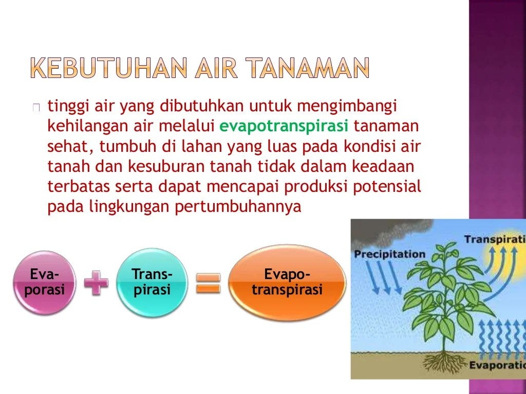 Menghitung kebutuhan air untuk tanaman di kebun berdasarkan jenis tanaman