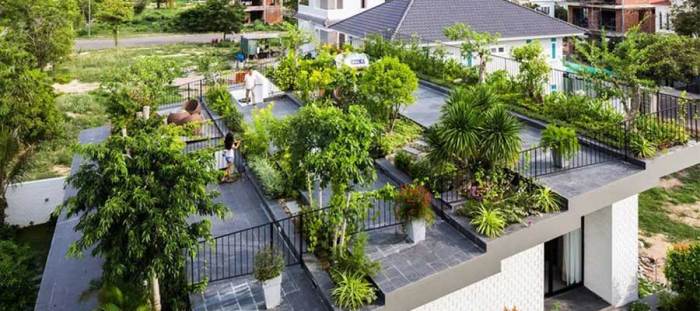 Membuat taman rooftop di apartemen dengan tanaman hijau