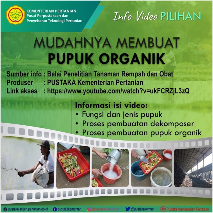 Membuat pupuk organik untuk tanaman strawberry