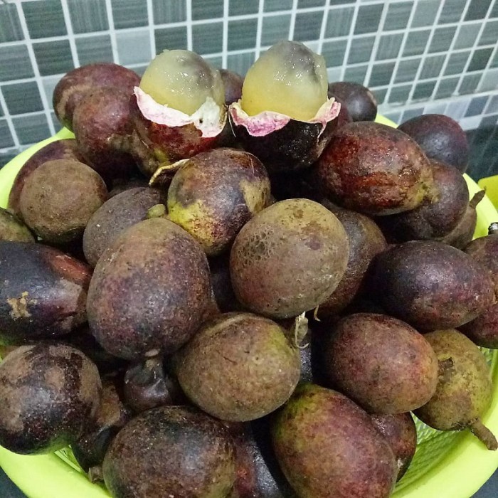 Jenis Varietas Buah Matoa