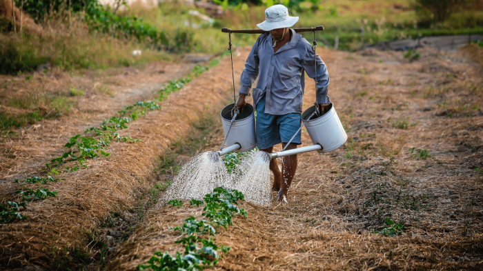 Menghitung kebutuhan air untuk tanaman di kebun berdasarkan jenis tanaman