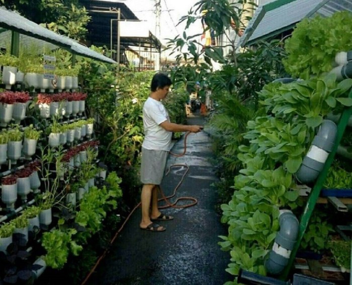 Rumah sayur menanam sayuran sempit dan lahan kebun dengan berkebun tanaman cara ide pemula vertikal peralatan kegiatan rukita perkebunan kamu