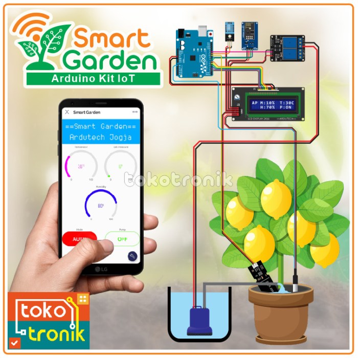 Membuat Taman Buah di Halaman Rumah dengan Sistem Irigasi Otomatis