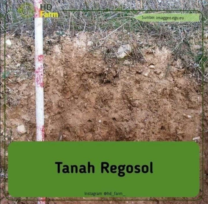 Mengenal jenis tanah yang cocok untuk berbagai tanaman