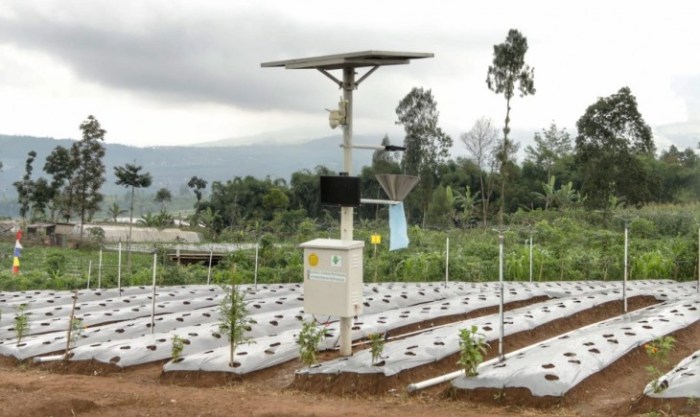 Membuat Sistem Irigasi Otomatis untuk Tanaman: Cara Mudah Merawat Kebun